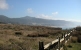 1.15.2003 Monica's field trip to Ano Nuevo